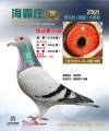 图片暂时未上传