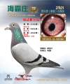 图片暂时未上传