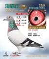 图片暂时未上传