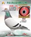 图片暂时未上传