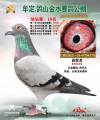 图片暂时未上传