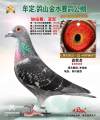 图片暂时未上传