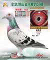 图片暂时未上传