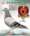 图片暂时未上传