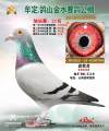 图片暂时未上传