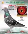 图片暂时未上传