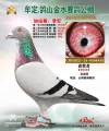 图片暂时未上传