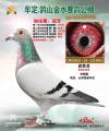 图片暂时未上传