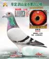 图片暂时未上传