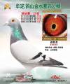 图片暂时未上传