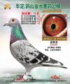 图片暂时未上传