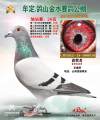 图片暂时未上传