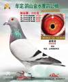 图片暂时未上传