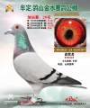 图片暂时未上传