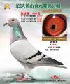 图片暂时未上传