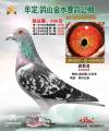 图片暂时未上传