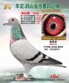 图片暂时未上传