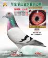 图片暂时未上传