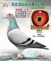 图片暂时未上传