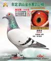 图片暂时未上传
