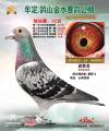 图片暂时未上传