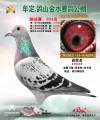 图片暂时未上传