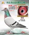 图片暂时未上传