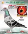 图片暂时未上传