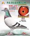 图片暂时未上传