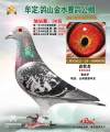 图片暂时未上传
