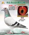 图片暂时未上传