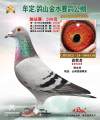 图片暂时未上传