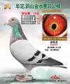 图片暂时未上传