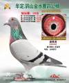 图片暂时未上传