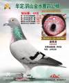 图片暂时未上传