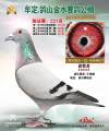 图片暂时未上传