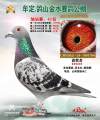 图片暂时未上传