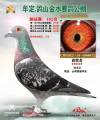 图片暂时未上传