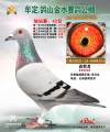图片暂时未上传
