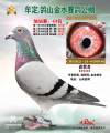 图片暂时未上传