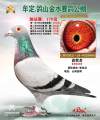 图片暂时未上传