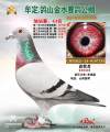 图片暂时未上传