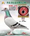 图片暂时未上传