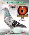 图片暂时未上传