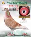 图片暂时未上传