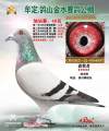 图片暂时未上传