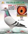 图片暂时未上传