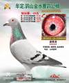 图片暂时未上传