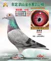 图片暂时未上传
