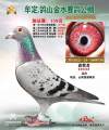 图片暂时未上传